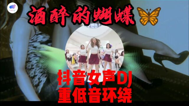 酒醉的蝴蝶(抖音女声dj重低音环绕)