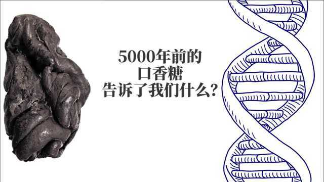 这块5000多年前的口香糖给我们讲了一个怎样故事?