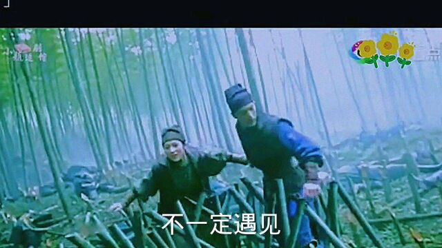 东东看电影