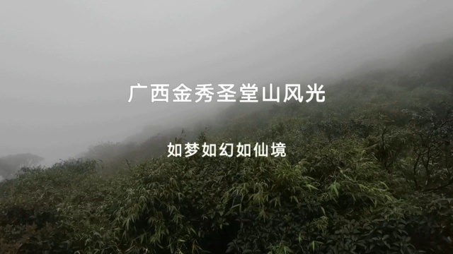 雨后仙境 如梦如幻 广西金秀圣堂山之行(一)