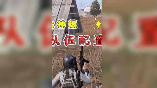 大神级队伍配置:高手的四排固定搭配,分配好上战神轻轻松松!