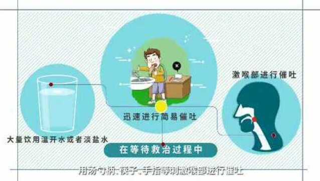 全国首个“拍照识菌”应用软件上线运行