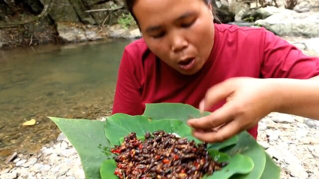 胖大婶在野外找到一个土堆,里面全是蟋蟀,油炸之后,味道棒极了