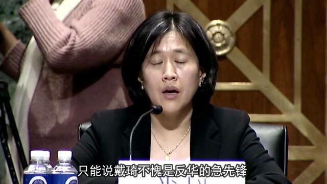 “卖国丑女”戴琦:跪舔美国深受青睐很骄傲,对中国充满敌意!