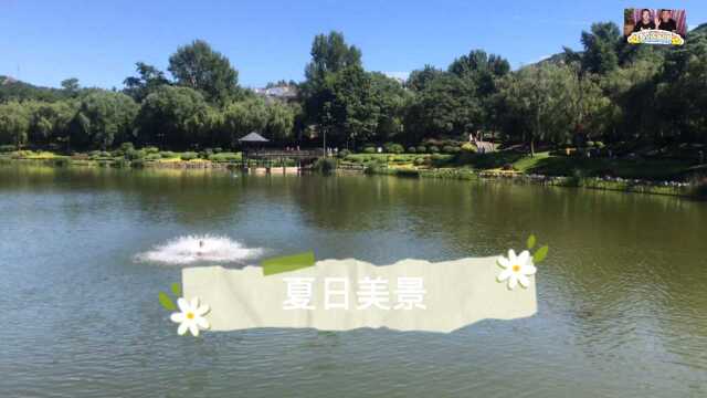 大连儿童公园夏日美景