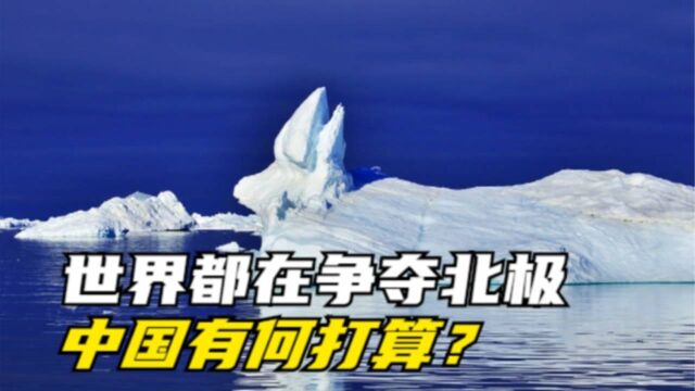 全世界都在争夺北极,到底图什么?中国对此如何布局?#“知识抢先知”征稿大赛#