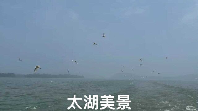 看太湖美景