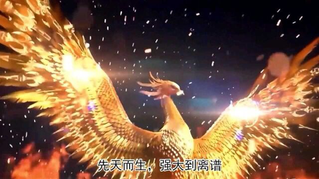 朱雀不灭的神性,让它成为最强大的神兽,加上不怕死的性格,无人敢惹