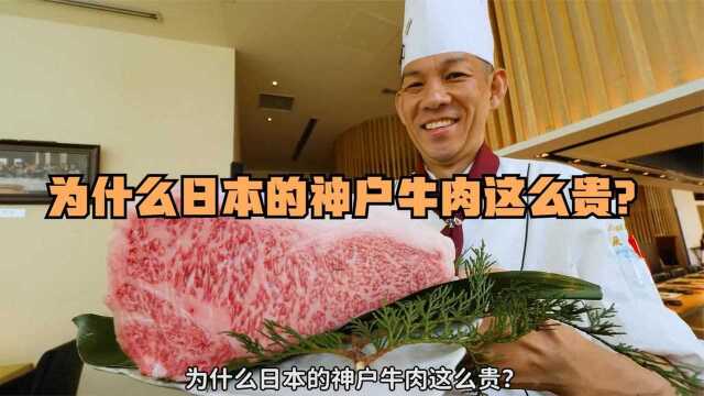 #“知识抢先知”征稿大赛# 为什么日本的神户牛肉这么贵?