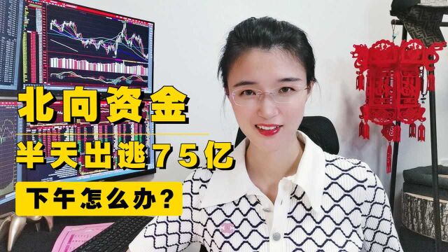 北向资金半天出逃75亿!大盘下跌29点,下午怎么办?