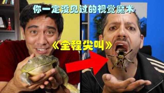 几个恐怖的视觉魔术,全程惊心动魄!#“知识抢先知”征稿大赛#