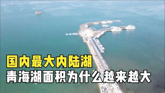 国内最大内陆湖,海拔超3200米,青海湖的面积为什么越来越大?