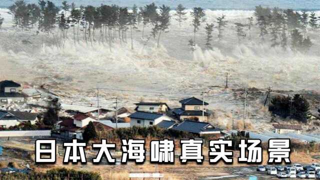 9级地震有多恐怖?这是2011年日本9级地震的真实场景,惨不忍睹!