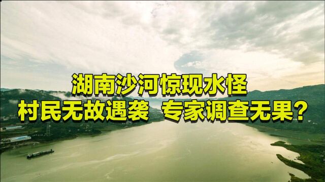 湖南沙河出现神秘黑影,村民无故遇袭,专家调查无果结果如何?