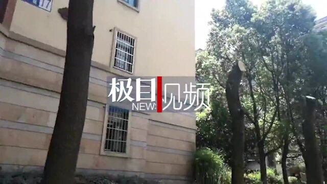 小区樟树被拦腰斩断居民表示太粗暴,物业:精修有难度,将协同业委会商讨