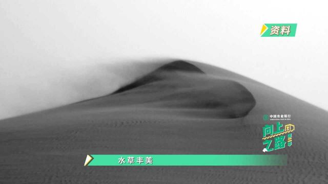 向上之路丨新中国奇迹!毛乌素4.22万平方公里沙地即将从地图上消失