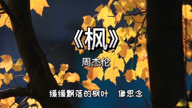 周杰伦《枫》