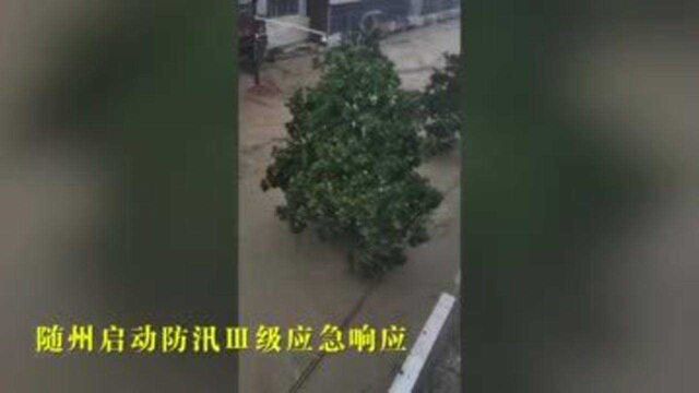 湖北多地遭遇强降雨,宜城启动防汛Ⅰ级应急响应