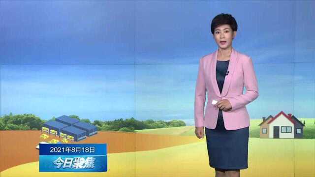 今日聚焦:快递进村 畅通城乡循环