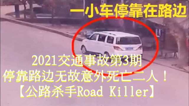 2021交通事故第3期:停靠路边无故意外死亡二人!【公路杀手Road Killer】