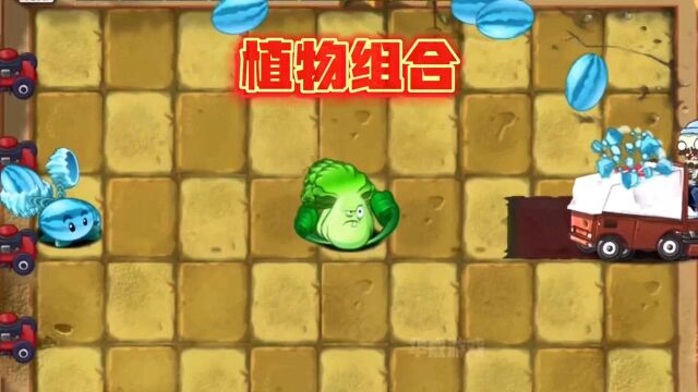 植物大战僵尸:华威终于搞出奇葩阵容,以下哪些阵容能够打败他们