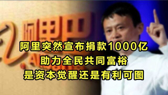 阿里突然宣布捐款1000亿,是资本觉醒还是有利可图?