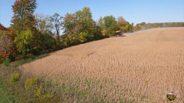 农场开始收割大豆卡特厂制造的美版克拉斯750本厂12米割台