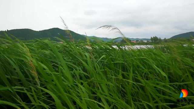 牡丹江:发源于长白山脉白头山之北的牡丹岭,夏日风光旖旎