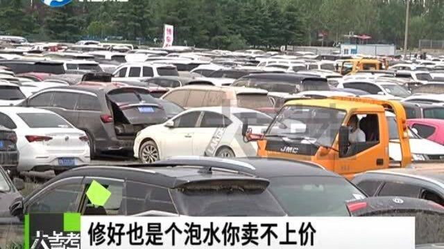 河南郑州:40多万辆“泡水车”去向:各地车商扎堆收购