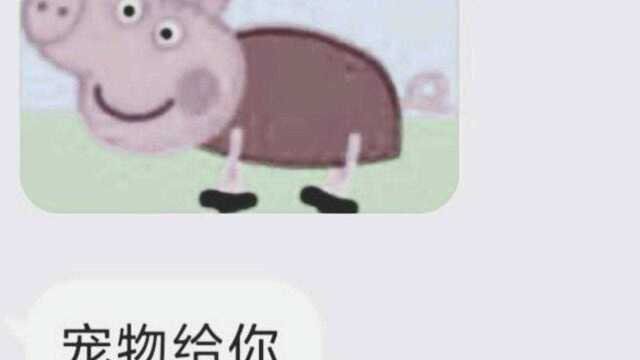 小暴龙也可以很可爱...!