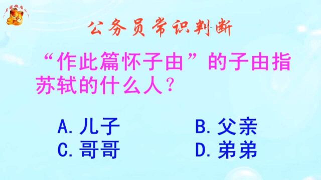 公务员常识判断,作此篇怀子由的子由指苏轼的什么人?长见识啦