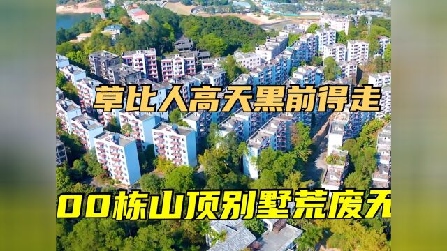 广东这楼盘想建成当地地标,却因总监卷走亿元烂尾,野草爬满大楼