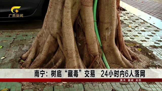 南宁:树底“藏毒”交易 24小时内6人落网