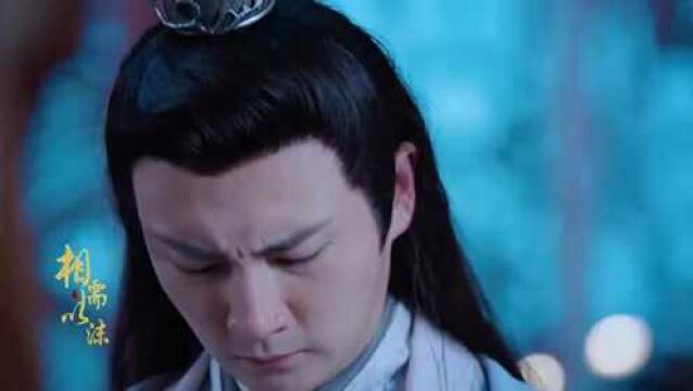 陈情令:当苏涉的千疮百孔被发现后,似乎所有人一下子都像找到了突破口