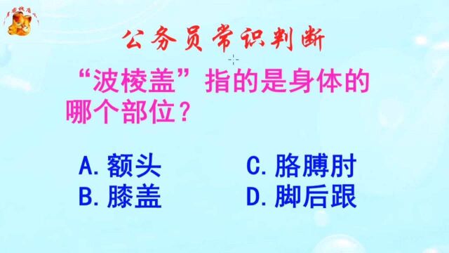 公务员常识判断,波棱盖指的是身体的哪个部位?长见识啦