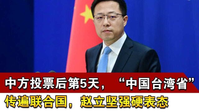 中方投票后第5天,“中国台湾省”传遍联合国,赵立坚强硬表态