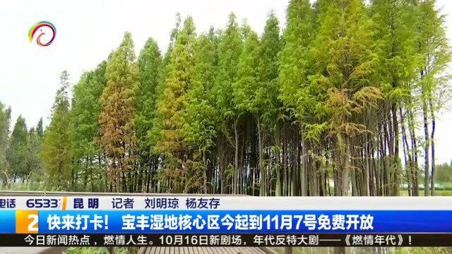 宝丰湿地核心区今起到11月7号免费开放