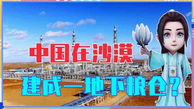 斥资70亿,中国在沙漠建成一地下粮仓?特殊用途,让印度眼红