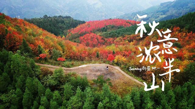 颜值爆表!半山苍翠半山红,秋日绝美风景上线!