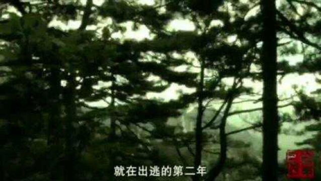 1990年国画大师黄宾虹为何要逃?