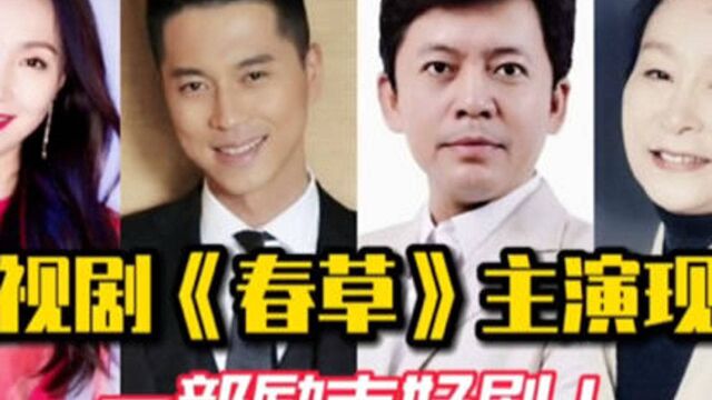 2008年电视剧《春草》主演现状,陶虹是个好妻子,何水远是渣男?