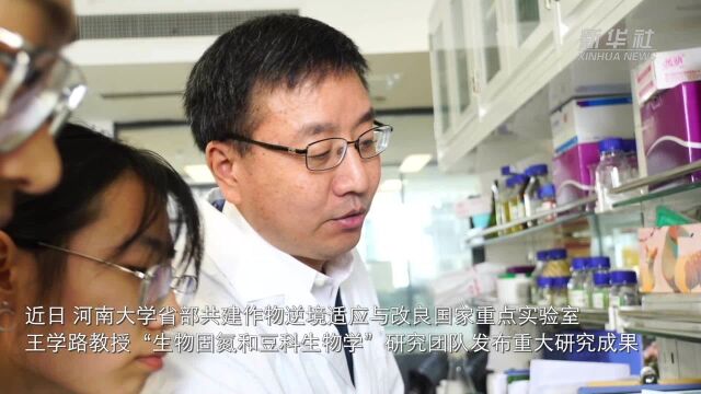 河南大学科研团队揭示光信号调控豆科植物共生固氮机制