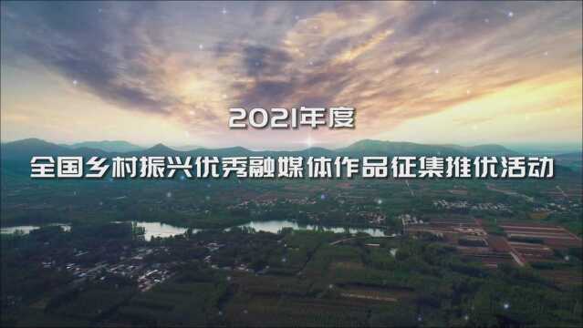 2021年度全国乡村振兴优秀融媒体作品征集推优活动