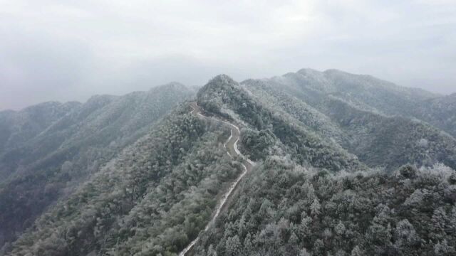 江西铜鼓:冷空气“冻”出雾凇美景