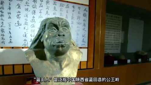 纪录片《浐灞长歌》：蓝田猿人居然也是人类起源之一？