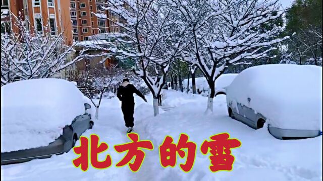 北方的雪到底有多大有多美 我带你们去看看