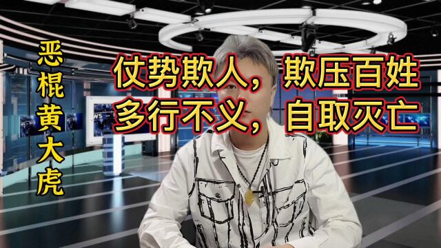 恶棍黄大虎:仗势欺人,强占地产,要二宝为父报仇怒举砍柴刀!