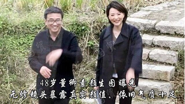 48岁董卿素颜生图曝光,无修镜头暴露真实颜值,依旧气质十足