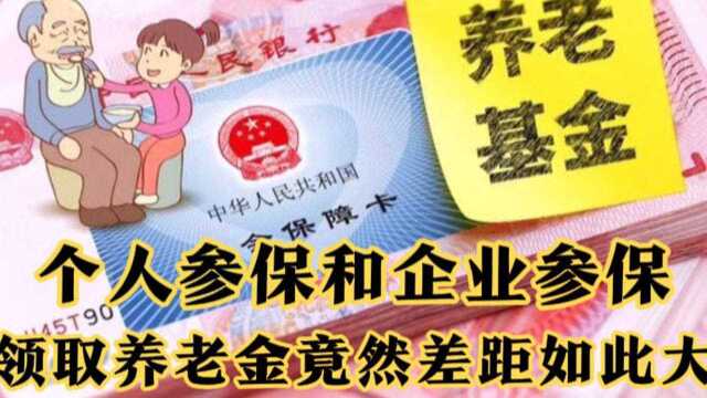 你对社保缴纳知道多少?个人参保和企业参保差距如此大