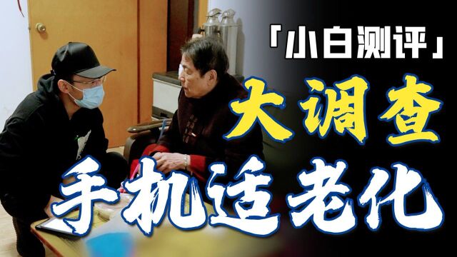 「小白」 耗时两个月!手机适老化调查:老人更应享受时代的便捷